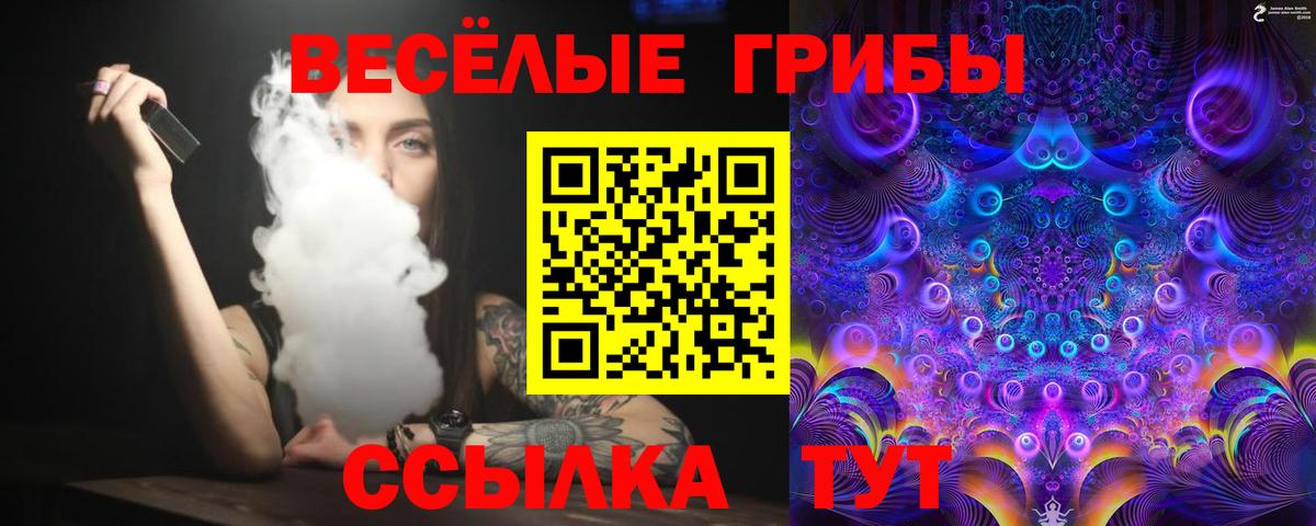 Медногорск  Галлюциногенные грибы GOLDEN TEACHER  Вход с VPN 
